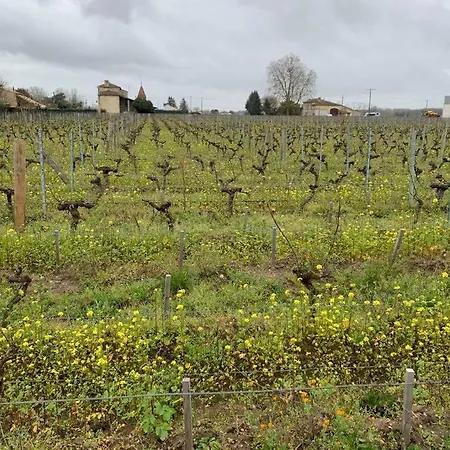 Chateau Roseyrol Proche Saint-emilion Saint-Magne-de-Castillon