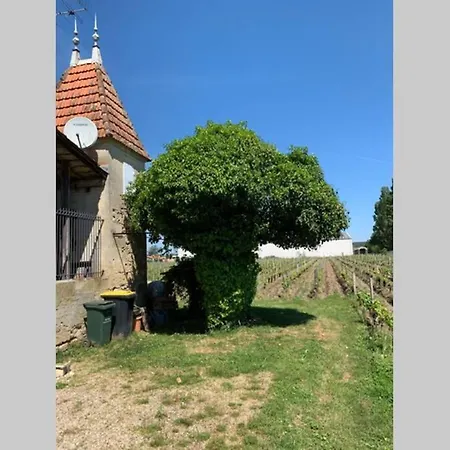 Holiday home Chateau Roseyrol Proche Saint-emilion *