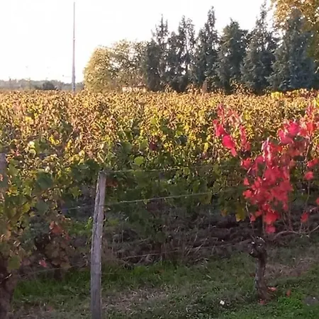 Chateau Roseyrol Proche Saint-emilion *