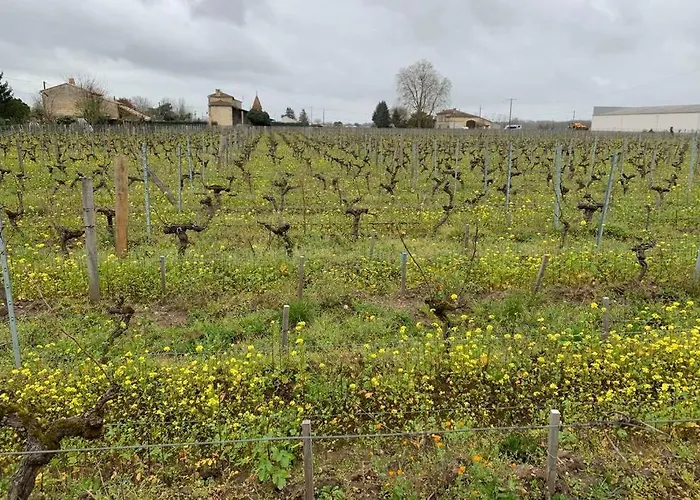 Chateau Roseyrol Proche Saint-emilion Saint-Magne-de-Castillon