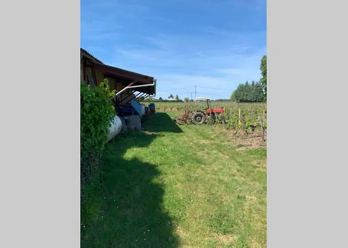 Chateau Roseyrol Proche Saint-emilion Saint-Magne-de-Castillon