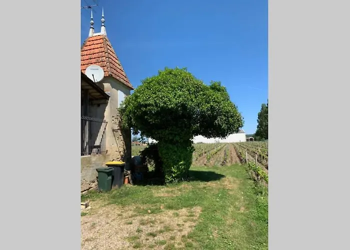 Dom wakacyjny Chateau Roseyrol Proche Saint-emilion *