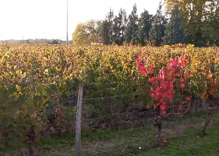 Chateau Roseyrol Proche Saint-emilion *